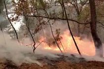 #Video: Ola de calor ocasiona incendios forestales al sur del #Edoméx