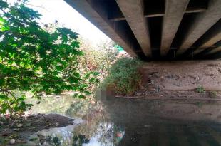 #Video: Hallan cuerpo flotando en canal de aguas negras en Edoméx