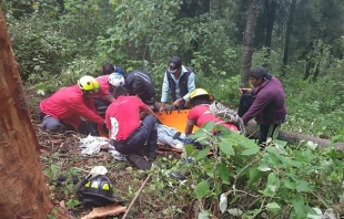 #Zinacantepec: rescatan a un hombre que le cayó un árbol encima