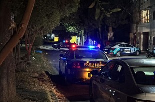 El atropellamiento alertó a los vecinos, quienes enseguida identificaron a la víctima, 