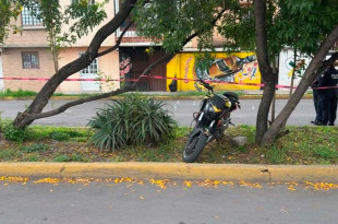 En el domicilio, presuntamente punto de venta de drogas, se hallaron dosis de narcóticos y plantas de marihuana.
