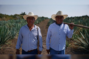 Más de 5 mil hectáreas de agave mezcalero quedan protegidas bajo el distintivo “Mezcal Hecho en México”, abriendo nuevas oportunidades de comercio nacional e internacional.