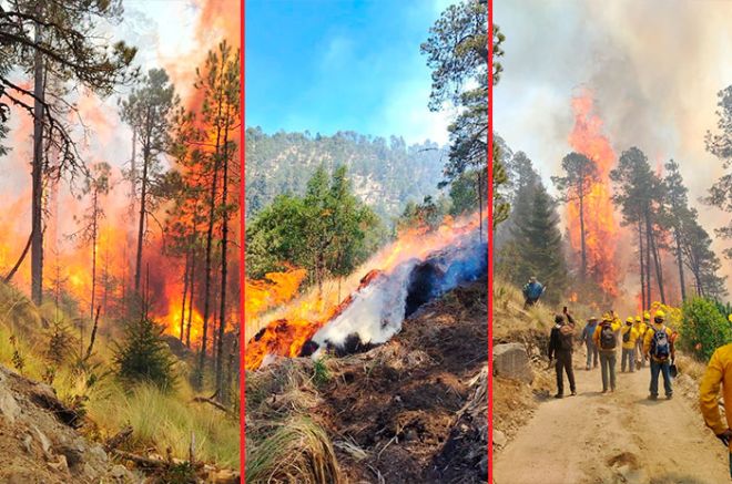 Comuneros del Ejido de San José Contadero y San Antonio Acahualco, también se sumaron a las labores