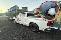 Personal de Pemex realizó la inhabilitación definitiva de la toma clandestina localizada dentro de una vivienda en el municipio de Ecatepec
