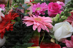 Flores podrían encarecerse en el Estado de México previo al 10 de mayo, debido a afectaciones climáticas y aumento en costos de producción.