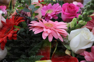 Flores podrían encarecerse en el Estado de México previo al 10 de mayo, debido a afectaciones climáticas y aumento en costos de producción.