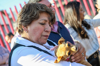 #Video: #GEM lanza estrategia para atender sobrepoblación animal en #Edoméx