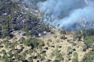 Brigadistas enfrentan la reactivación del fuego en el Nevado de Toluca.