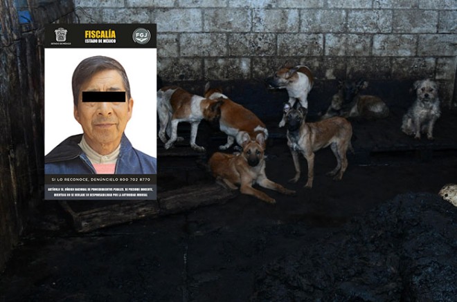 Marco &quot;N&quot;, de 66 años, fue detenido por su probable vinculación al maltrato animal.