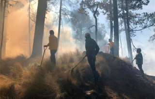 Cerca del Parque de los Venados, informó Gabriel Mena Rojas, Director General de la Protectora de Bosques (Probosque)