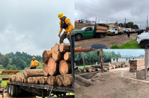 Se establecieron destacamentos permanentes en zonas estratégicas.