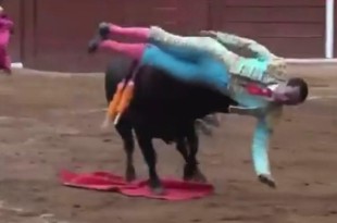 El toro intenta cornearlo, pero Macías se da la vuelta para correr, y el toro lo embiste por detrás, manteniéndolo suspendido en el aire durante varios segundos.