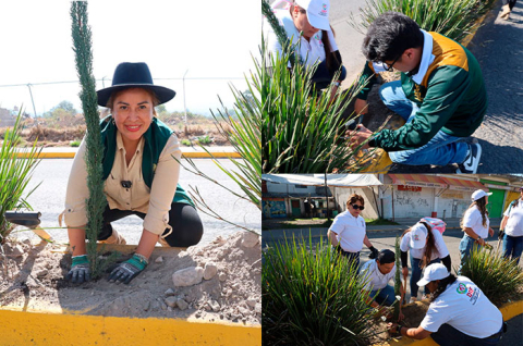 La acción busca mejorar el entorno, la calidad del aire y fortalecer el equilibrio ecológico en el municipio
