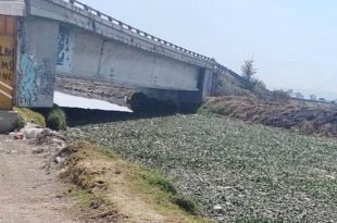 La víctima fue hallada entre las calles Rivera del Río y 5 de Mayo, en el barrio de Guadalupe.