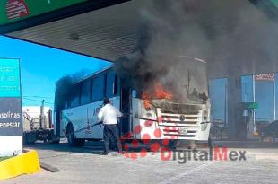 La unidad afectada resultó ser de la empresa Flecha Blanca, con el número económico 343.