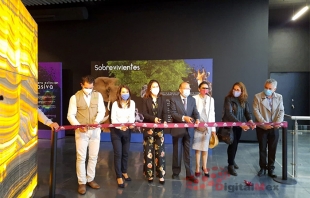 Inaugura Centro Cultural Toluca séptima temporada de exposiciones