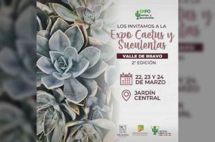 Aprende sobre el cuidado y cultivo de plantas exóticas en la Expo Cactus y Suculentas.