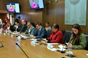 Durante la sesión de comisiones unidas, se aclaró que la propuesta no impone un modelo obligatorio ni modifica usos o creencias vinculadas con los rituales funerarios