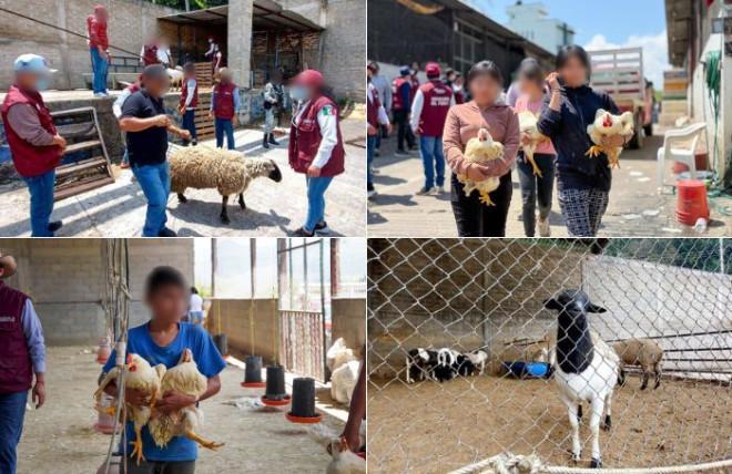 Parte de los bienes fue distribuida gratuitamente entre la población por la Secretaría del Bienestar.