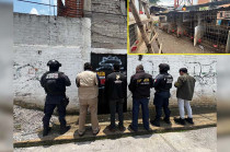 Las aves se encontraban en situación de hacinamiento, maltrato y abandono, por lo que los ejemplares de corral quedaron bajo el resguardo de PROPAEM.