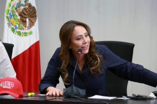 La dirigente estatal del PRI cuestionó la actuación de Morena ante el caso de Rubén Rocha Moya.