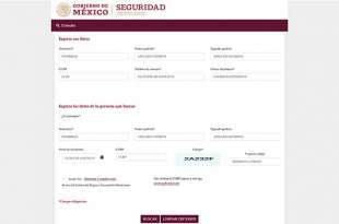 Consultas a través de la página https://consultasdetenciones.sspc.gob.mx/