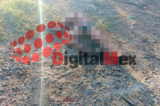 La víctima aún no ha sido identificada.