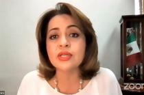 La diputada mexiquense, Ana Lilia Herrera Anzaldo, dio a conocer que esta propuesta evidencia el temor de la mayoría de Morena y aliados a la organización de la sociedad