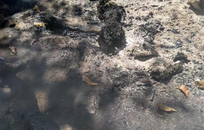 #Edomex: Encuentran a hombre calcinado, tras incendio forestal
