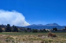 Hasta el momento, no ha habido un reporte oficial por parte de las autoridades competentes que determine la magnitud del incendio.