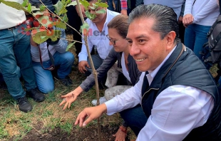 Inicia campaña de reforestación en Toluca; la meta, 5 millones de plantas sembradas