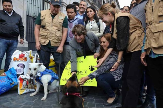 Apoyo a mascotas afectadas por el huracán Otis. 