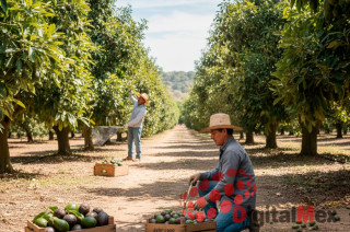 Autoridades de seguridad informaron que la zona de Plan del Cerro ha sido asediada por grupos delictivos que presuntamente han colocado minas en el área.