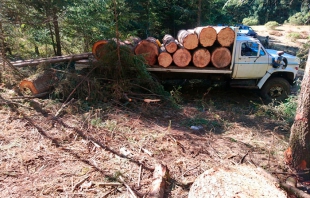 Detienen a tres talamontes con carga en Zinacantepec