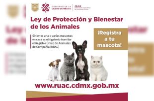 El RUAC tiene la finalidad de llevar un mejor censo de los animales de compañía, así como asegurar la protección de las mascotas