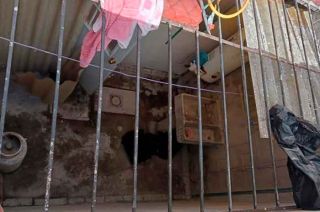 Sergio "N", de 39 años, fue detenido tras caer en el patio al intentar huir por la azotea.