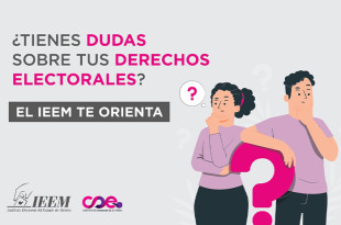 El objetivo del COE es orientar y facilitar el acceso a la información sobre derechos y obligaciones político-electorales.