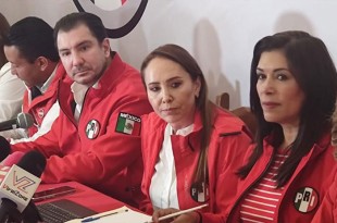 Cristina Ruiz Sandoval, cuestionó la estrategia que aplica Morena