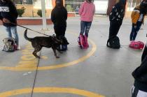 Los padres realizan la revisión de las mochilas de sus hijos.