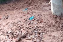 Autoridades municipales informaron que se están llevando a cabo labores de mantenimiento en las zonas afectadas.