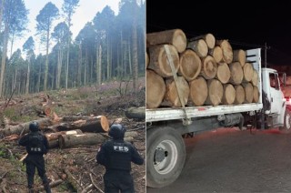 En el operativo se contó con una fuerza de estado de 101 elementos y 17 unidades motoras, con el objetivo inhibir la comisión de delitos contra el medio ambiente.