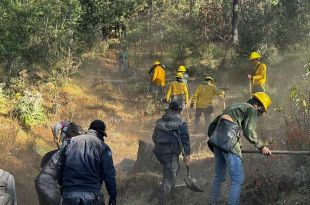 Suman más de 500 incendios forestales 