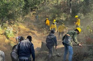 Suman más de 500 incendios forestales