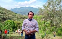 #Video: #Tejupilco inicia reforestación con 50 mil árboles por todo el territorio municipal