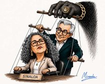 Gobierno interino