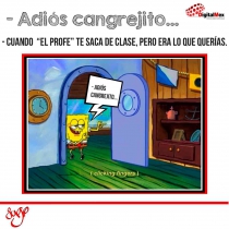 Adiós cangrejito...