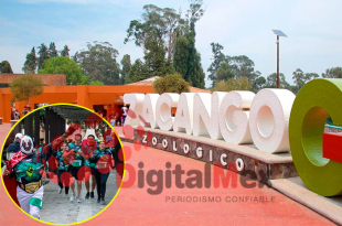 Niños de 5 a 12 años y adultos podrán participar en distancias de 3, 6 y 9 km para fomentar deporte y activación física.