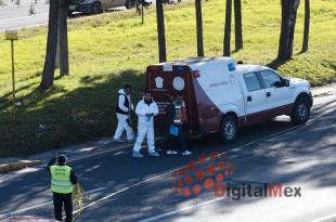 La víctima intentó cruzar la vialidad y no hizo uso de un puente peatonal en la zona.