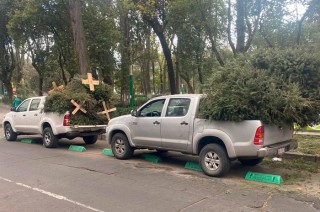 Los ciudadanos pueden entregar sus árboles en cualquiera de los 16 Ecocentros del municipio o en el Vivero Municipal.
