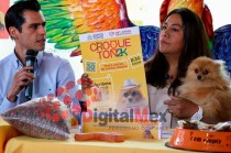 El evento será el 30 de marzo en Plaza Juárez, con un recorrido de 1.5 km y módulos de adopción.